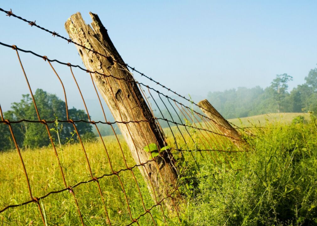 West Virginia: Hardy